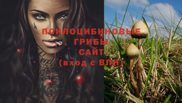 СК Балахна