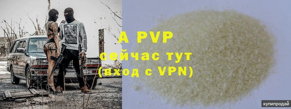 СК Балахна