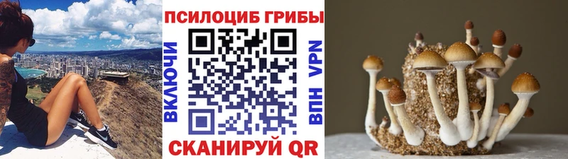 Псилоцибиновые грибы ЛСД Навашино