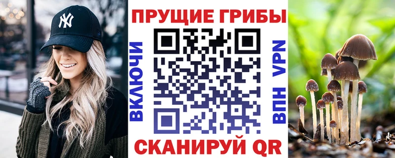 Галлюциногенные грибы мухоморы  Купить закладки  Навашино 